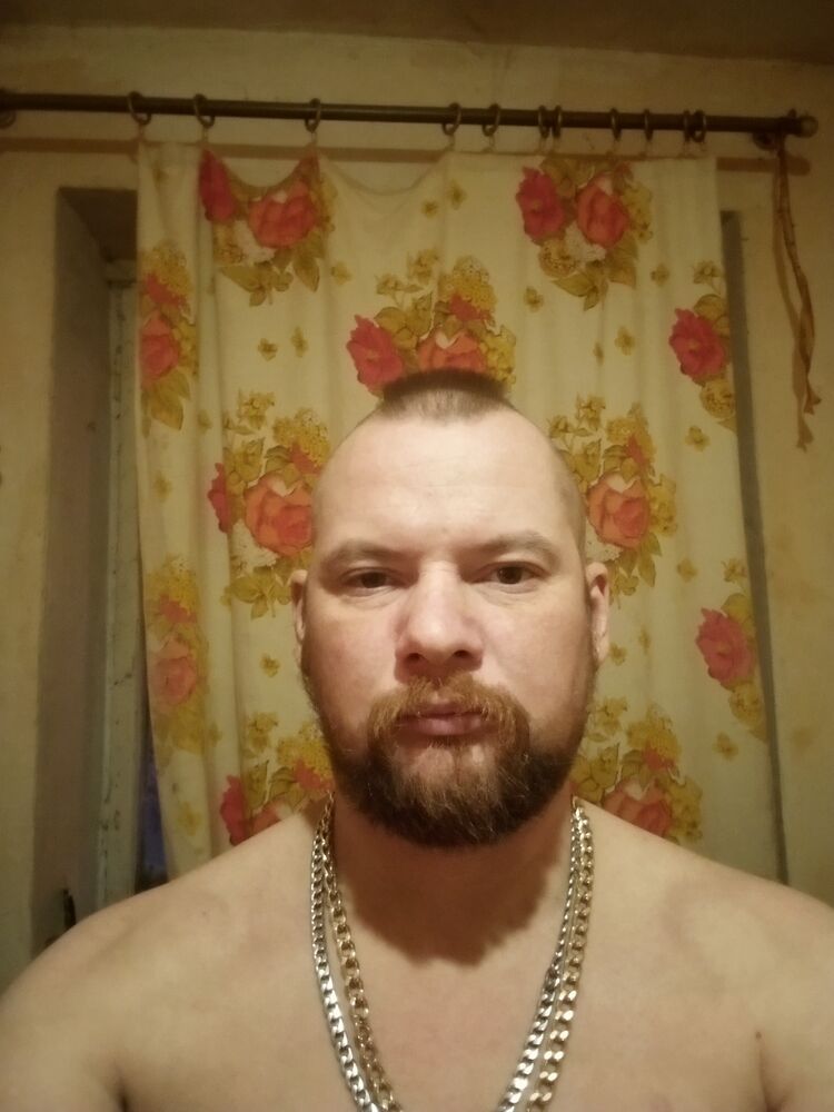  41335163  , 38 ,    