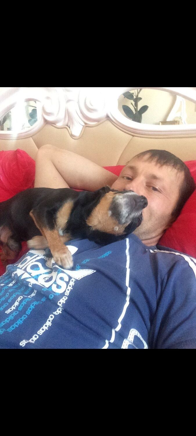 ���������� �������������, ���� ������� And, 46 ���, ������������ ��� c�������� ���������