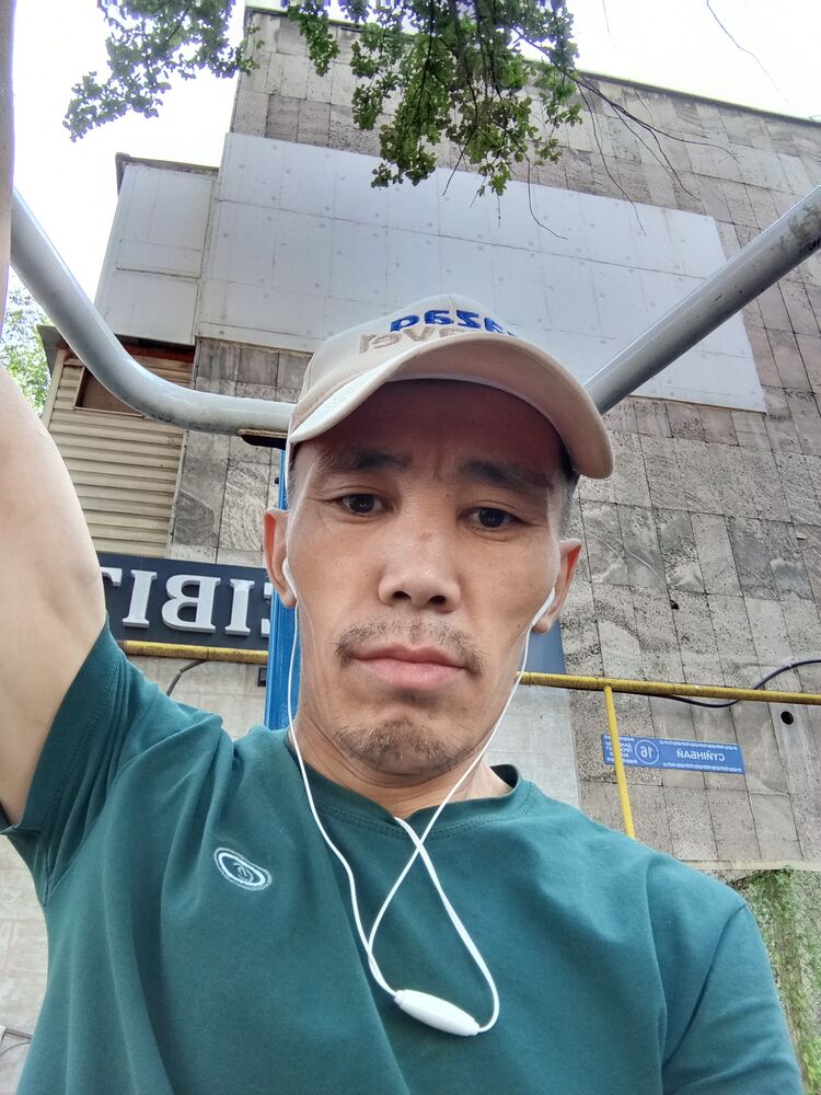  45513053  , 43 ,    