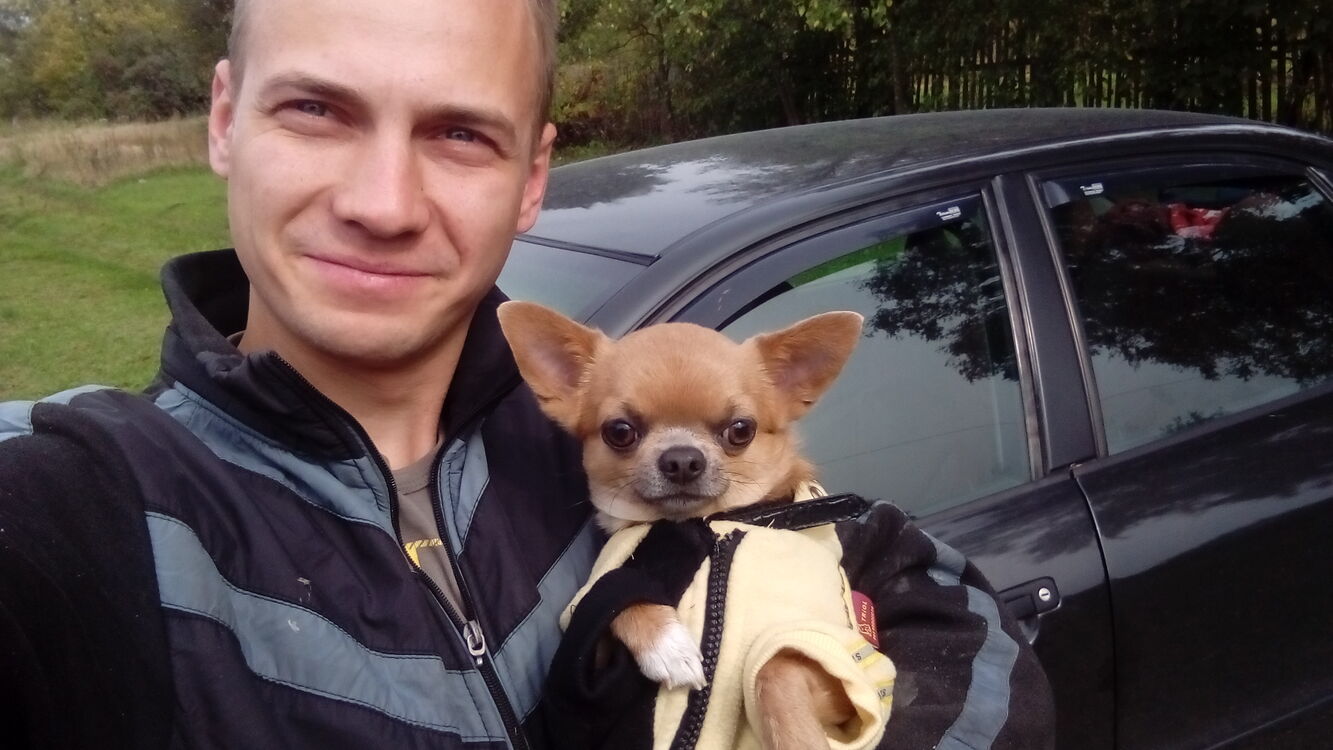 ���������� ������, ���� ������� ����, 33 ����, ������������ ��� ������, ����� � ���������