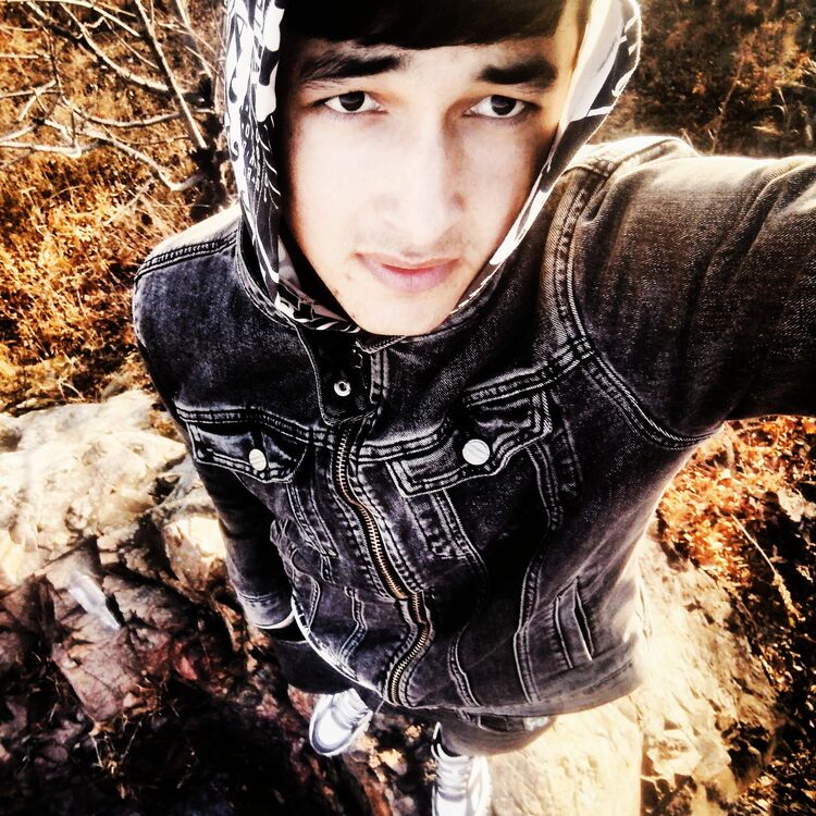 ���������� �����������, ���� ������� Ali, 29 ���, ������������ ��� ������, ����� � ���������