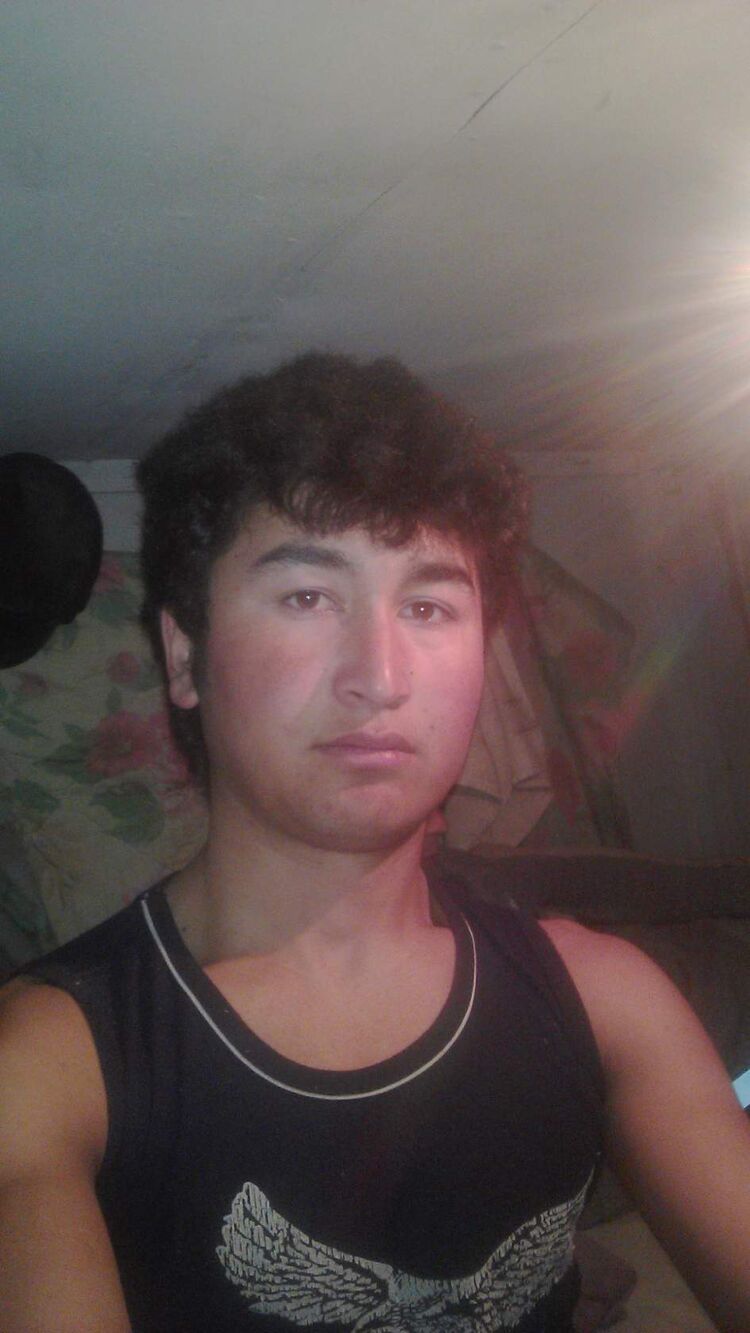  44186063  , 28 ,    