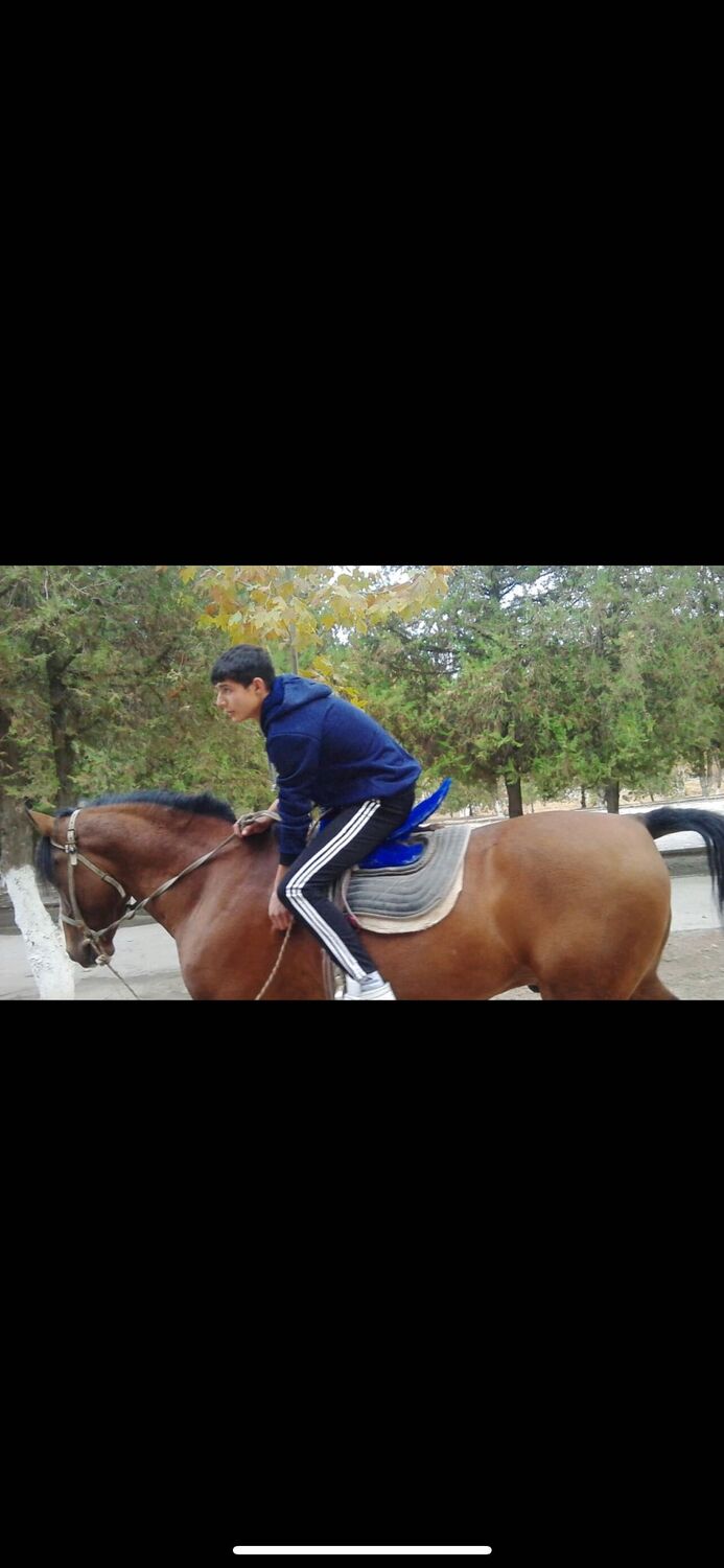 ���� 40862663 ������� ��������, 31 ���, ���� ���������� � ��������