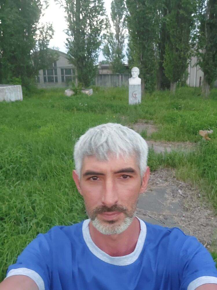  28065093  , 37 ,    