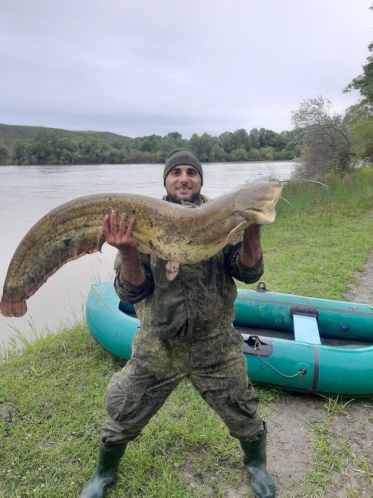 ���������� ������, ���� ������� �������, 41 ���, ������������ ��� ������, ����� � ���������