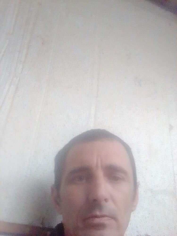  33425753  Bmitrij, 47 ,    