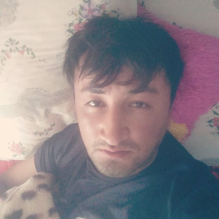 ���� 20637813 ������� �����, 36 ���, ���� ���������� � �������