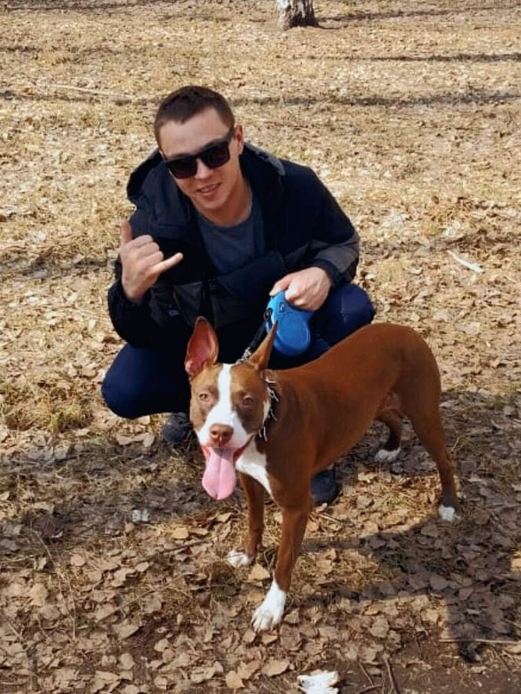 ���� 38805443 ������� ����, 29 ���, ���� ���������� � ��������