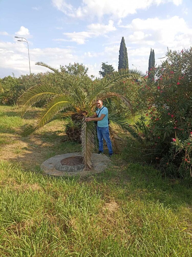  54171053  , 49 ,    -