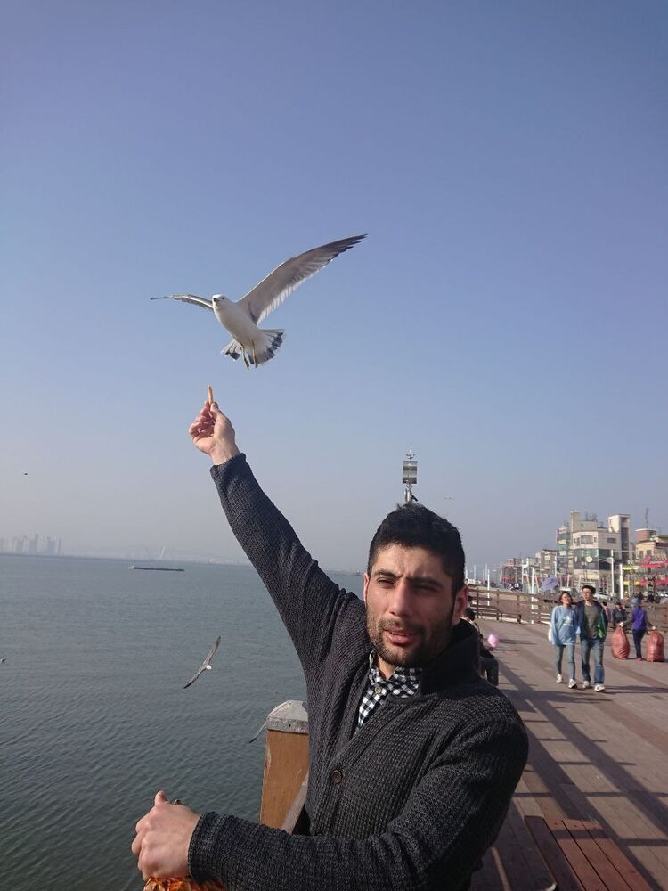 ���� 26305003 ������� Nematulla, 36 ���, ���� ���������� � ������