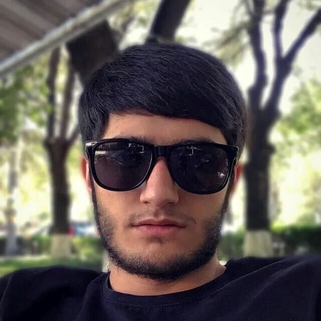  ,   Arts, 31 ,   ,   