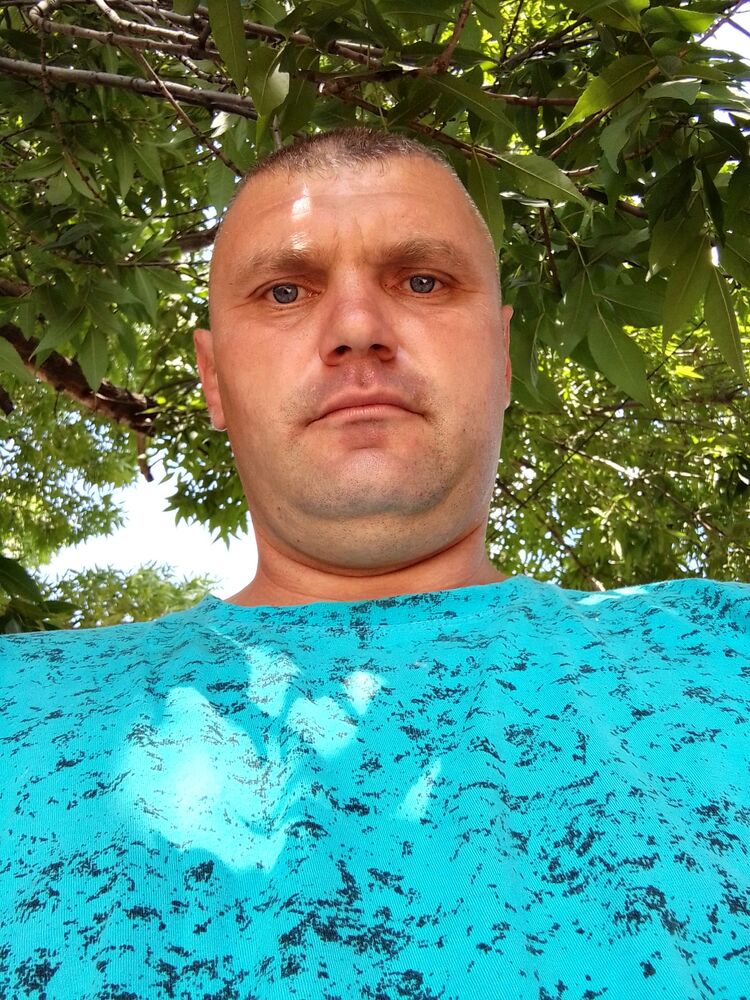  28469233  , 43 ,    