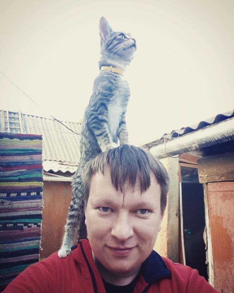 ���� 18502783 ������� �������, 40 ���, ���� ���������� � ���������