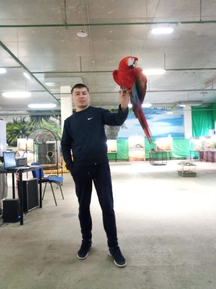 ���� 25090483 ������� ����, 42 ����, ���� ���������� � �����