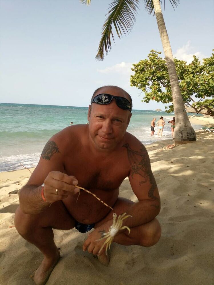 ���� 19856323 ������� ������, 44 ����, ���� ���������� � �������