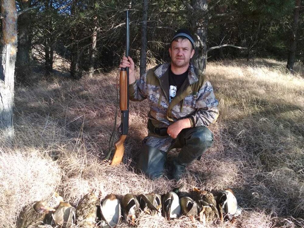  52647543  , 36 ,    --