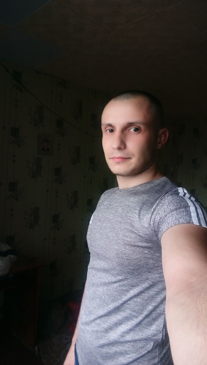  15803293  , 29 ,    