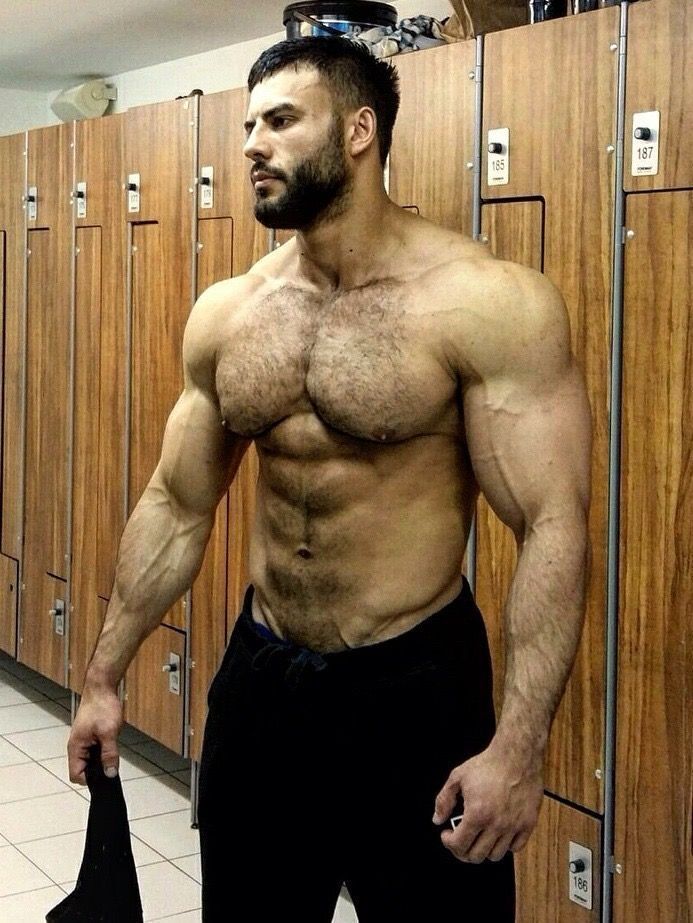  52556513  , 36 ,    -