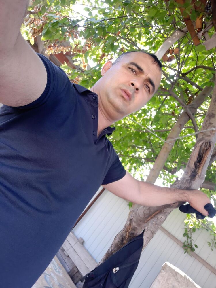 ���� 54875003 ������� ����, 41 ���, ���� ���������� � �����������