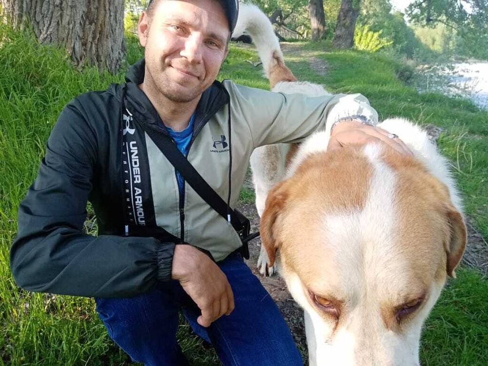 ���� 22950853 ������� ���������, 38 ���, ���� ���������� � �������