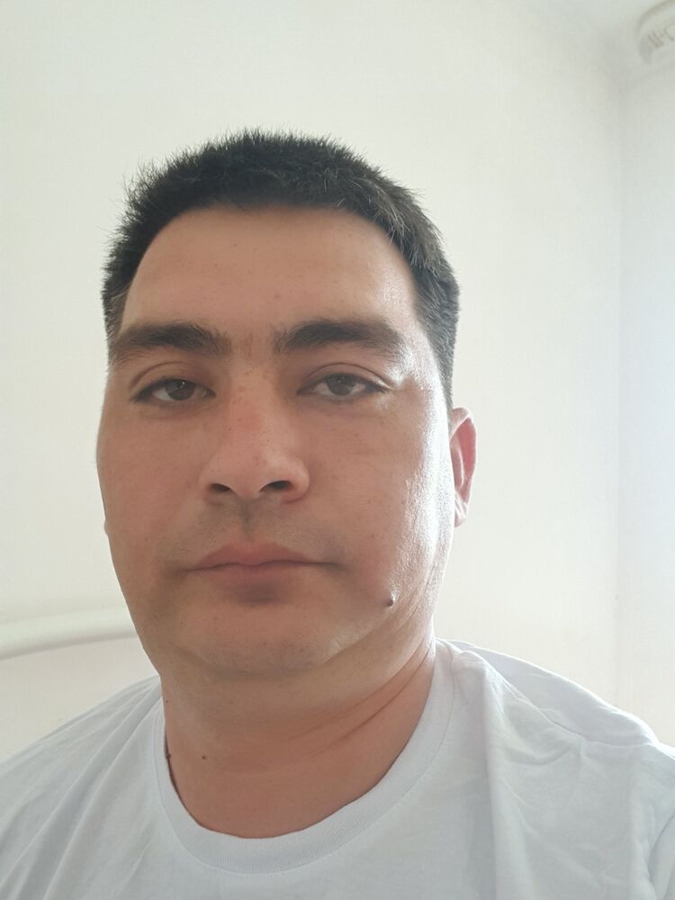  43347433  , 37 ,    
