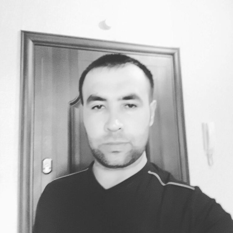  15765393  , 33 ,    