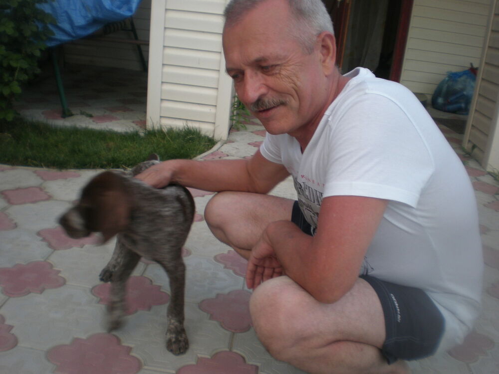 ���� 7052923 ������� �����, 65 ���, ���� ���������� � ������