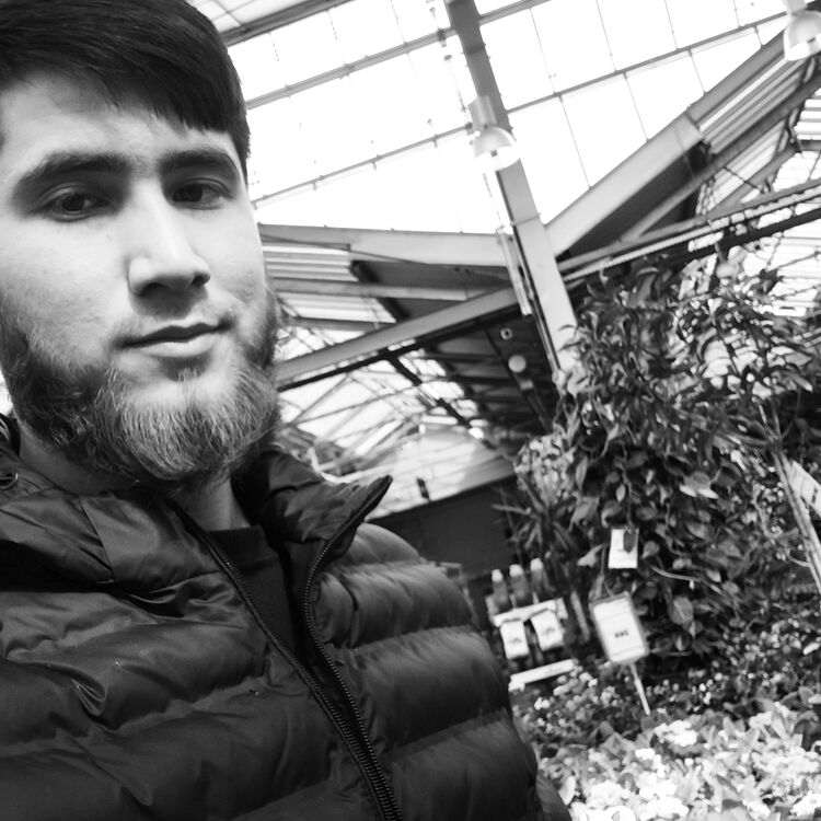 ���� 34982693 ����� ��������, 23 ����, ���� ���������� � �����-����������