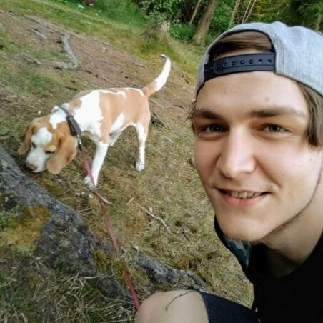 ���� 43626513 ������� �����, 30 ���, ���� ���������� � �����-����������