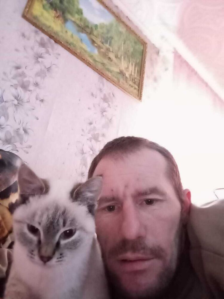 ���������� �����, ���� ������� ����, 40 ���, ������������ ��� ����� � ���������, c�������� ���������, ���������