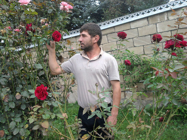 ���� 36890413 ������� ������, 53 ����, ���� ���������� � �����-����������