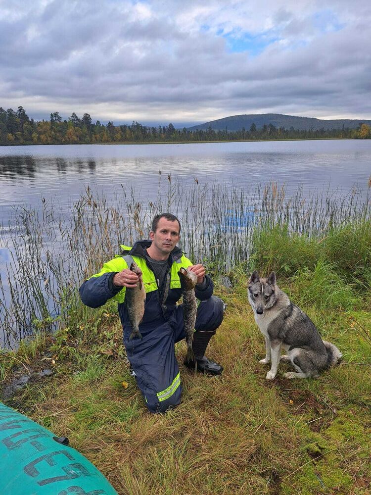 ���� 55400823 ������� ����, 42 ����, ���� ���������� � ���������