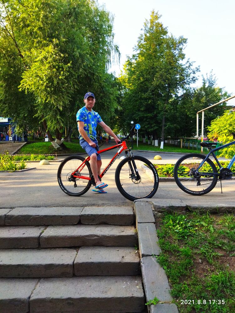 ���� 24946063 ������� �������, 42 ����, ���� ���������� � �������