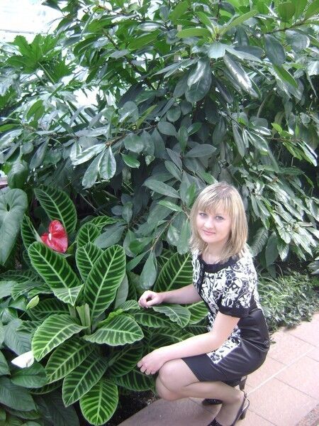 ���� 19869743 ������� �����, 40 ���, ���� ���������� � ������