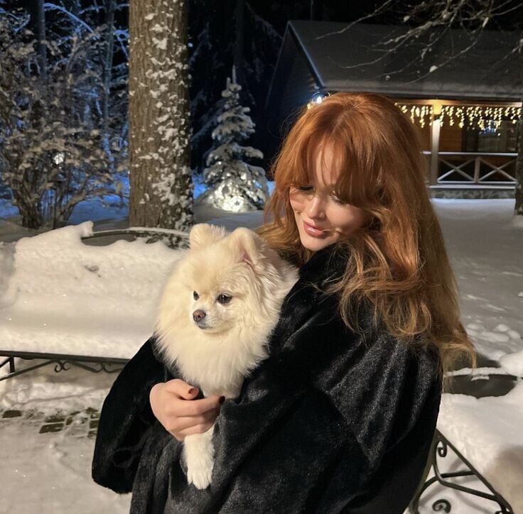 ���� 37647003 ������� ���, 24 ����, ���� ���������� � ������