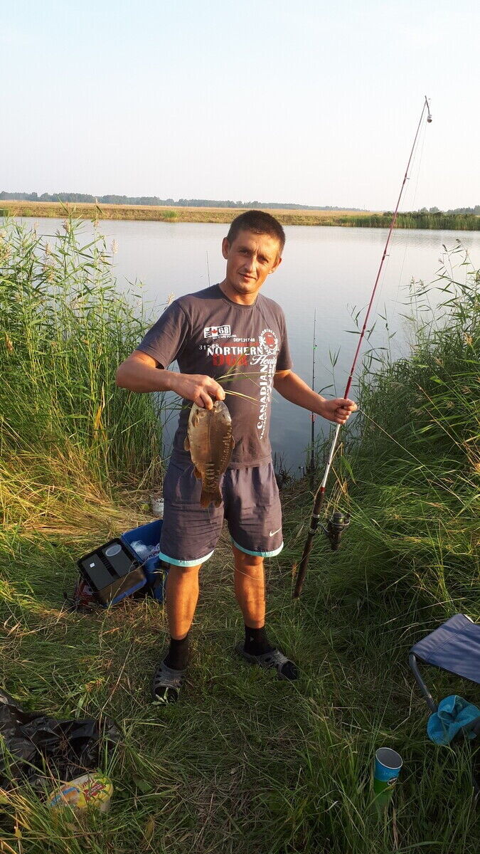 ���� 21376033 ������� ����, 41 ���, ���� ���������� � ������������