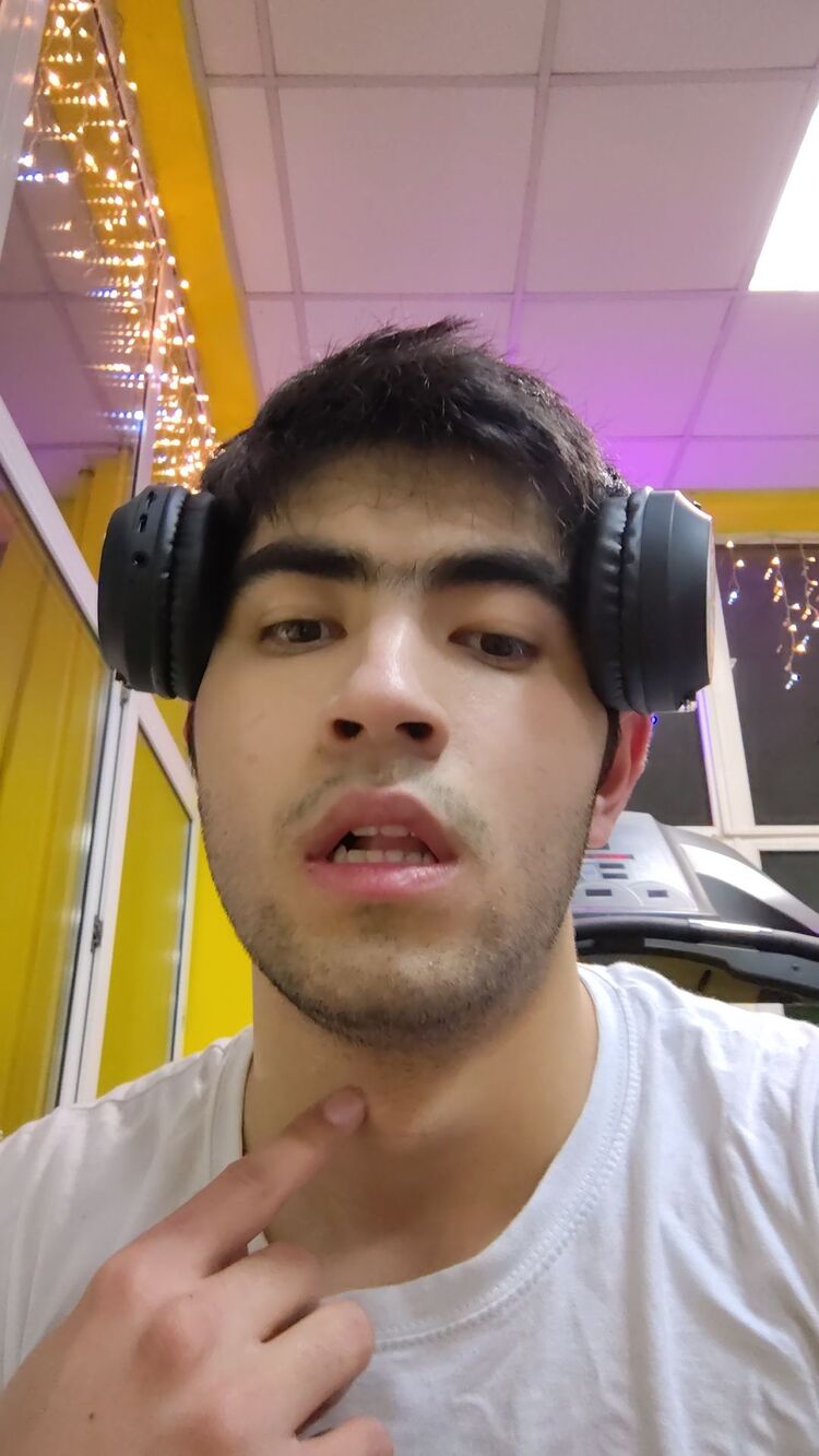  49598533  , 18 ,    