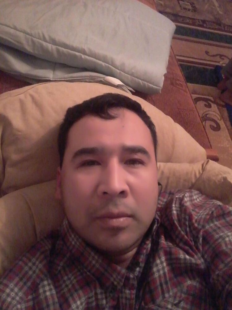  33367363  , 46 ,    