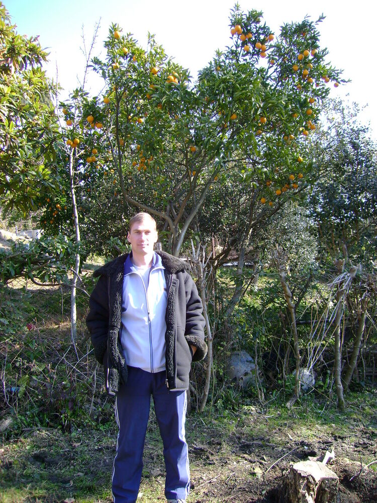 ���������� ������-��-����, ���� ������� �����, 51 ���, ������������ ��� ����� � ���������, c�������� ���������