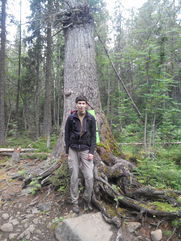 ���� 55356303 ������� ��������, 33 ����, ���� ���������� � �������������