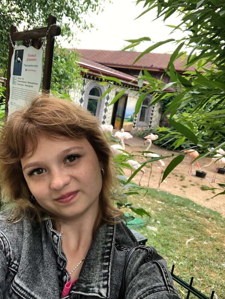 ���� 55739553 ������� ������, 23 ����, ���� ���������� � ����������