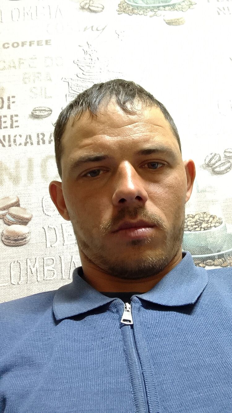  43364043  , 33 ,    