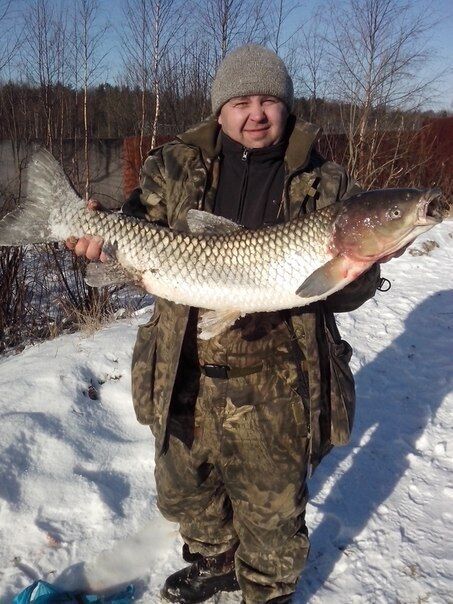  ,   Vyacheslav, 48 ,     , c 