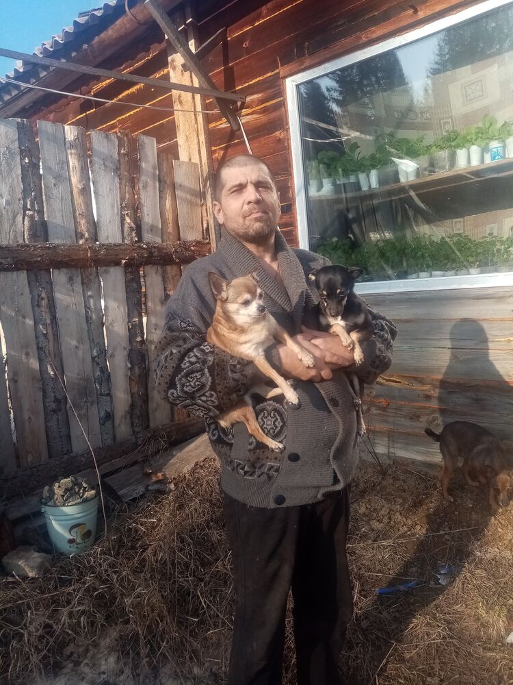 ���� 27237123 ������� ������, 56 ���, ���� ���������� � �������������