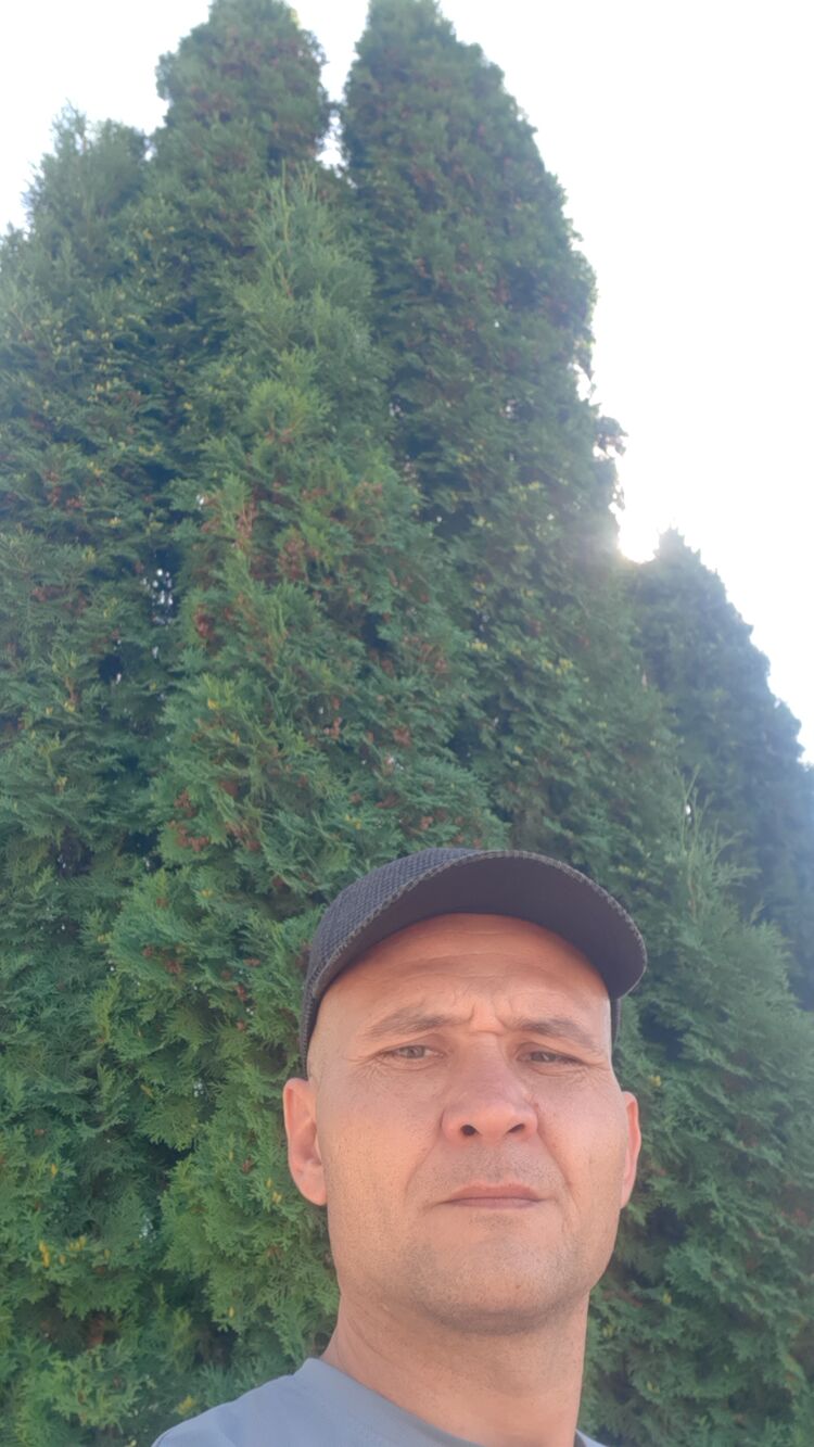  44637693  , 39 ,    