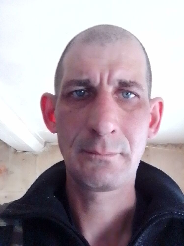  40408563  , 49 ,    
