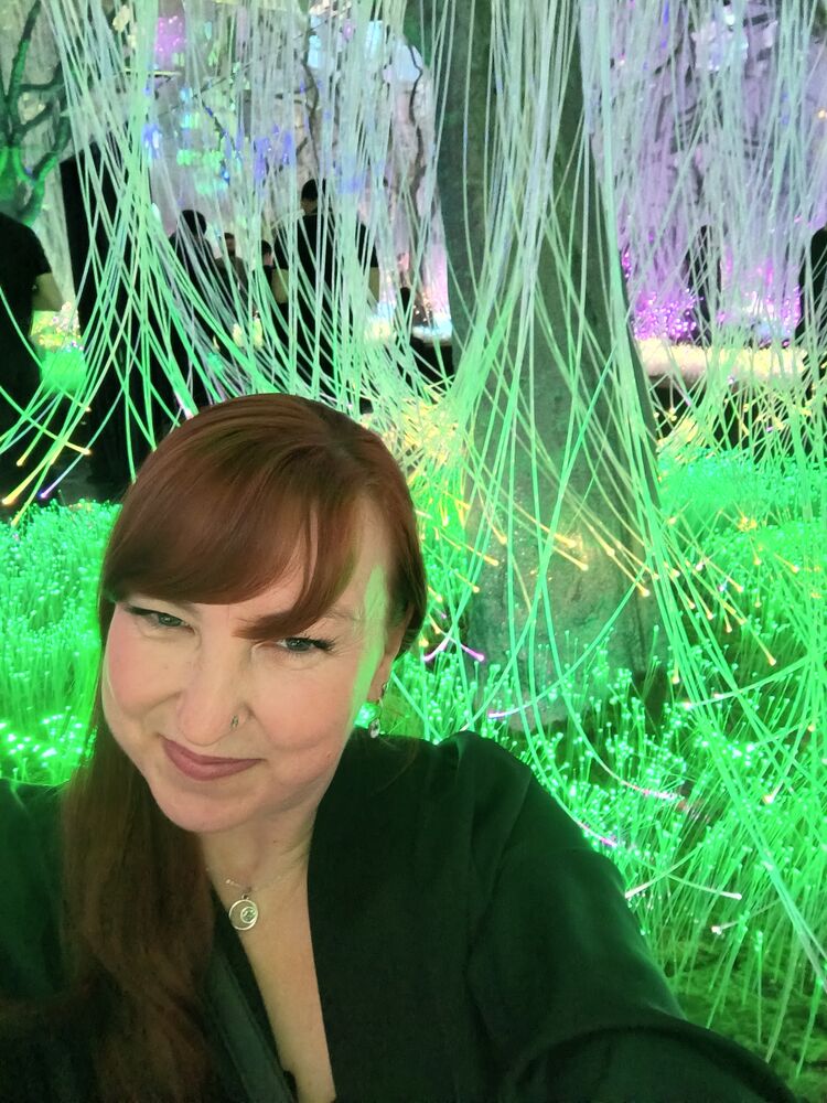 ���������� �����-���������, ���� ������� ��������, 47 ���, ������������ ��� ����� � ���������, c�������� ���������