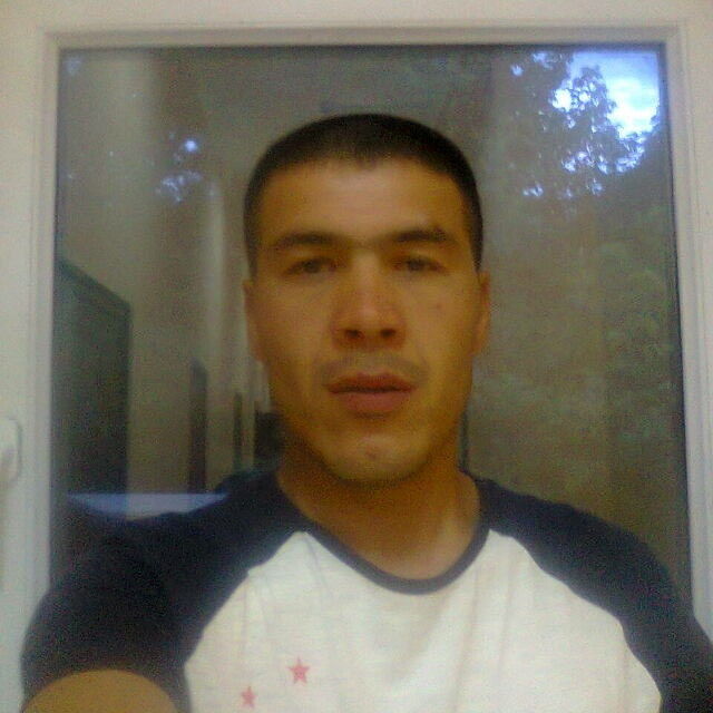  6533603  Kanat, 40 ,    