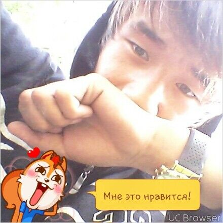 ���� 8061083 ������� Alti, 29 ���, ���� ���������� � ������