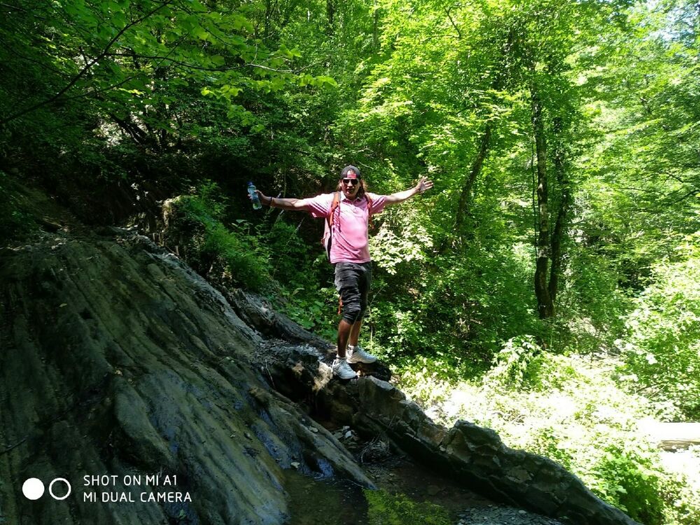 ���������� ���������, ���� ������� ���������, 39 ���, ������������ ��� ������, ����� � ���������